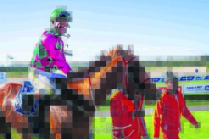 IN THE SADDLE | Smith, Greeff head-to-head again for trainers’ title