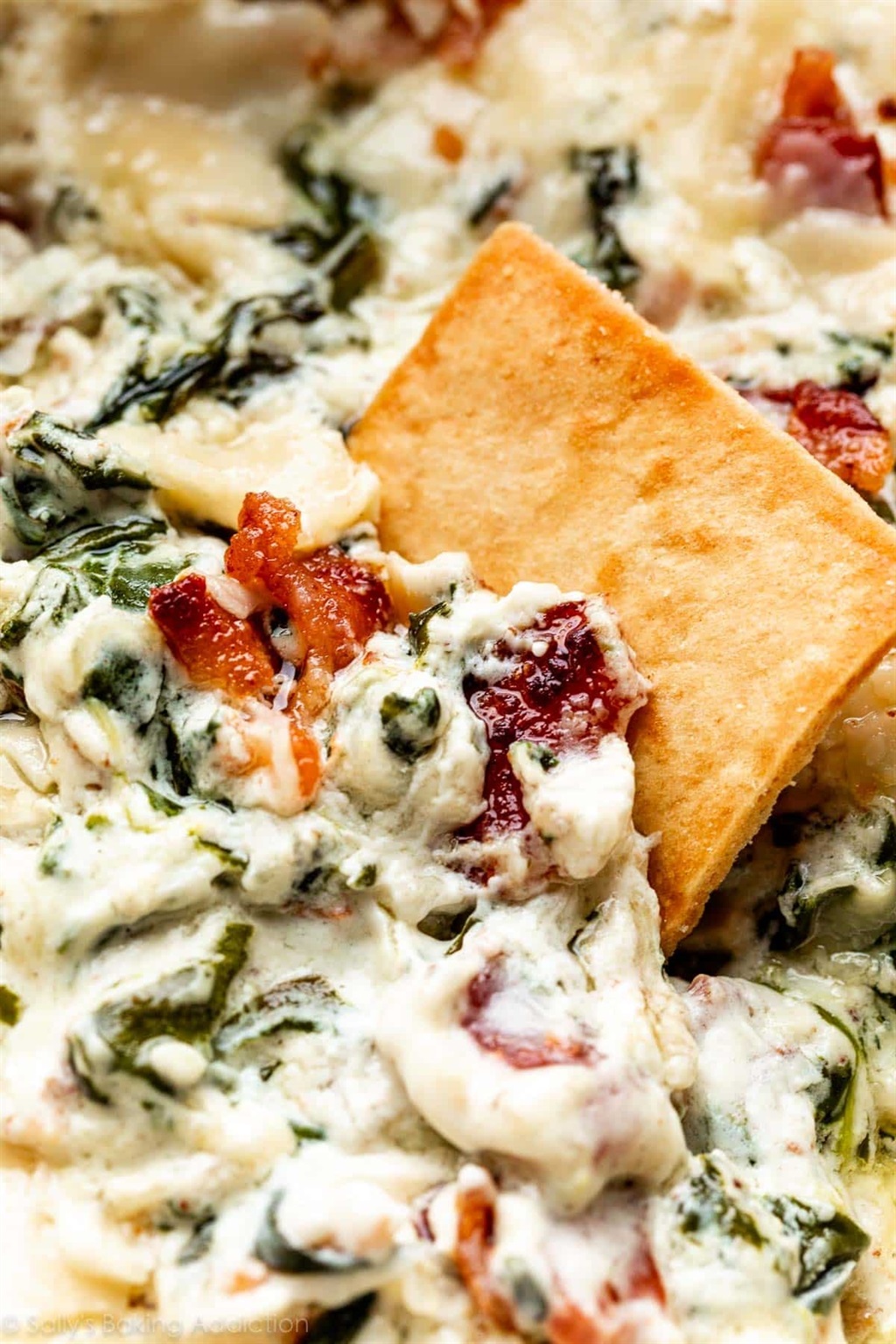 Spinach, bacon and cheese dip