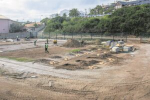 Bayworld dolphin pool demolished as part of redevelopment