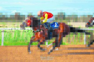 IN THE SADDLE: Gear up for this weekend’s Algoa Festival