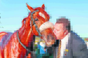 Winning action at the races