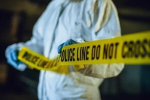 Skeletal remains found in bush in William Moffett
