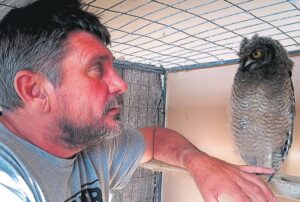 University is safe haven for rehabilitated wildlife