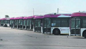 Libhongolethu IPTS buses back for Gqeberha commuters