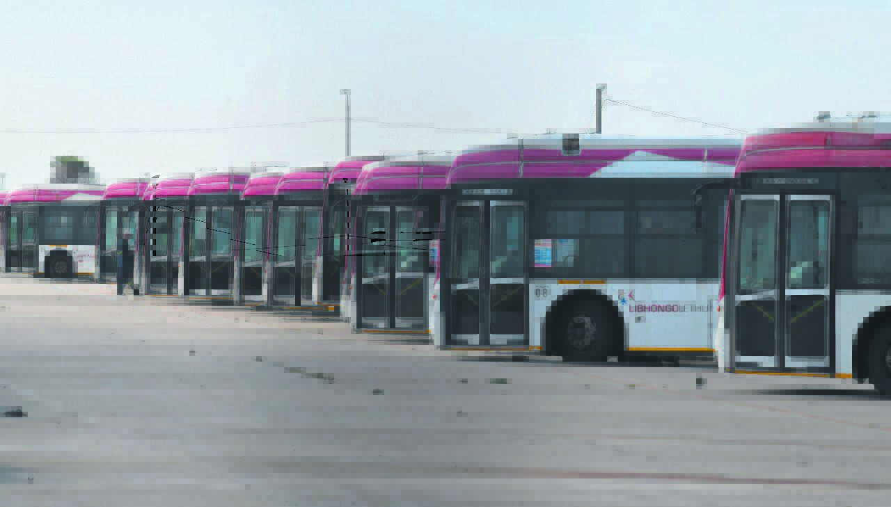 Libhongolethu IPTS buses back after four month absence.