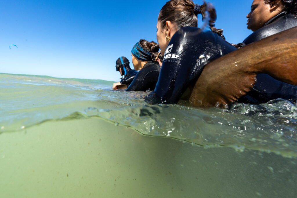The Two Oceans Aquarium curatorial and veterinary team carefully guide Gen, the ragged tooth shark, during her release into the wild off the coast of Struisbaai.