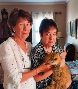 Van die Weskus na Brackenfell: kat se ongelooflike reis wat hom weer by sy eienaar bring