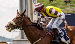 Greeff sets his sights on KZN win