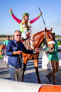 IN THE SADDLE: New equine hero crowned in EC