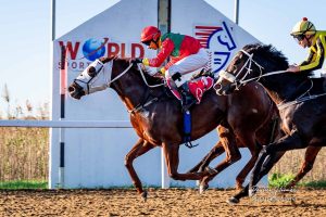 Fillies on the line-up again at Friday Fairview meeting