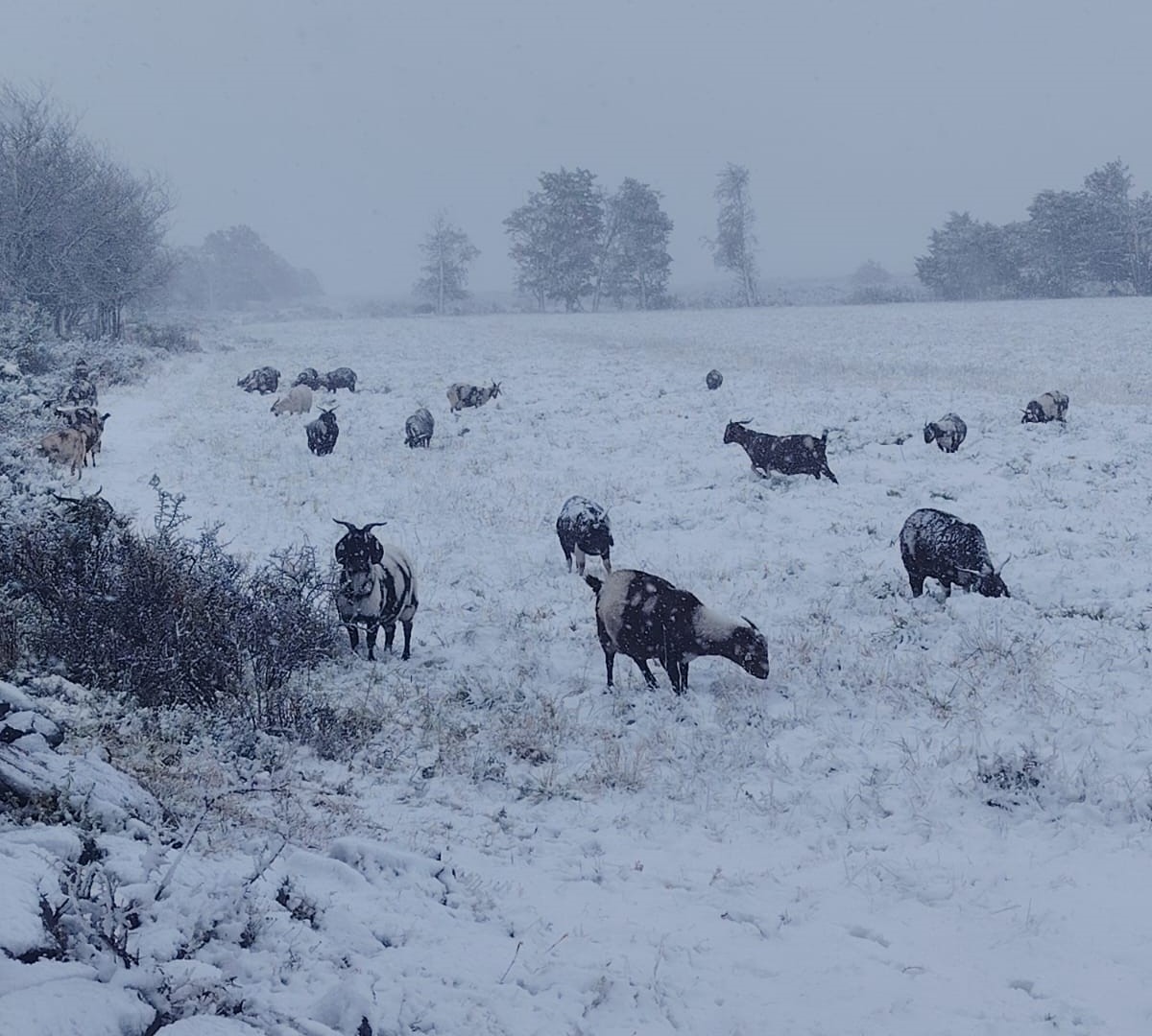 The death toll due to flooding and icy weather has risen to 49.
