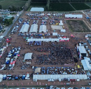 Huge success for festival that a town united to make it happen