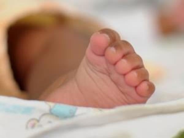 A livestock shepherd made a distressing discovery of a newborn baby boy who had been abandoned