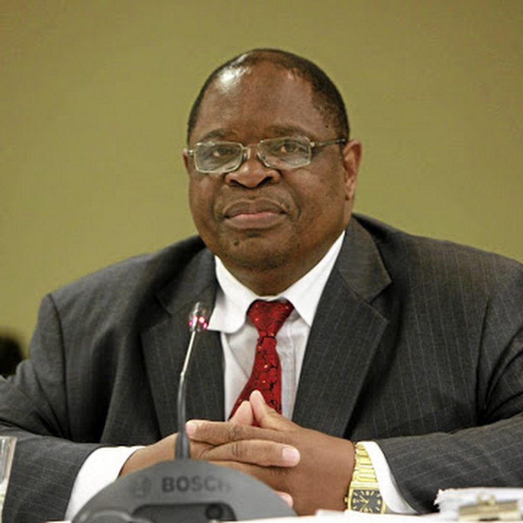 Chief Justice Raymond Zondo