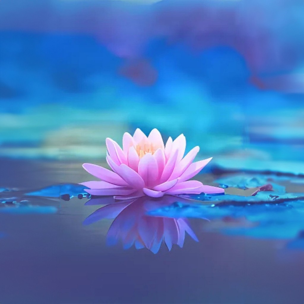 A pink lotus flower floating on water, symbolising growth, and inner peace, reflecting qualities nurtured through yoga.