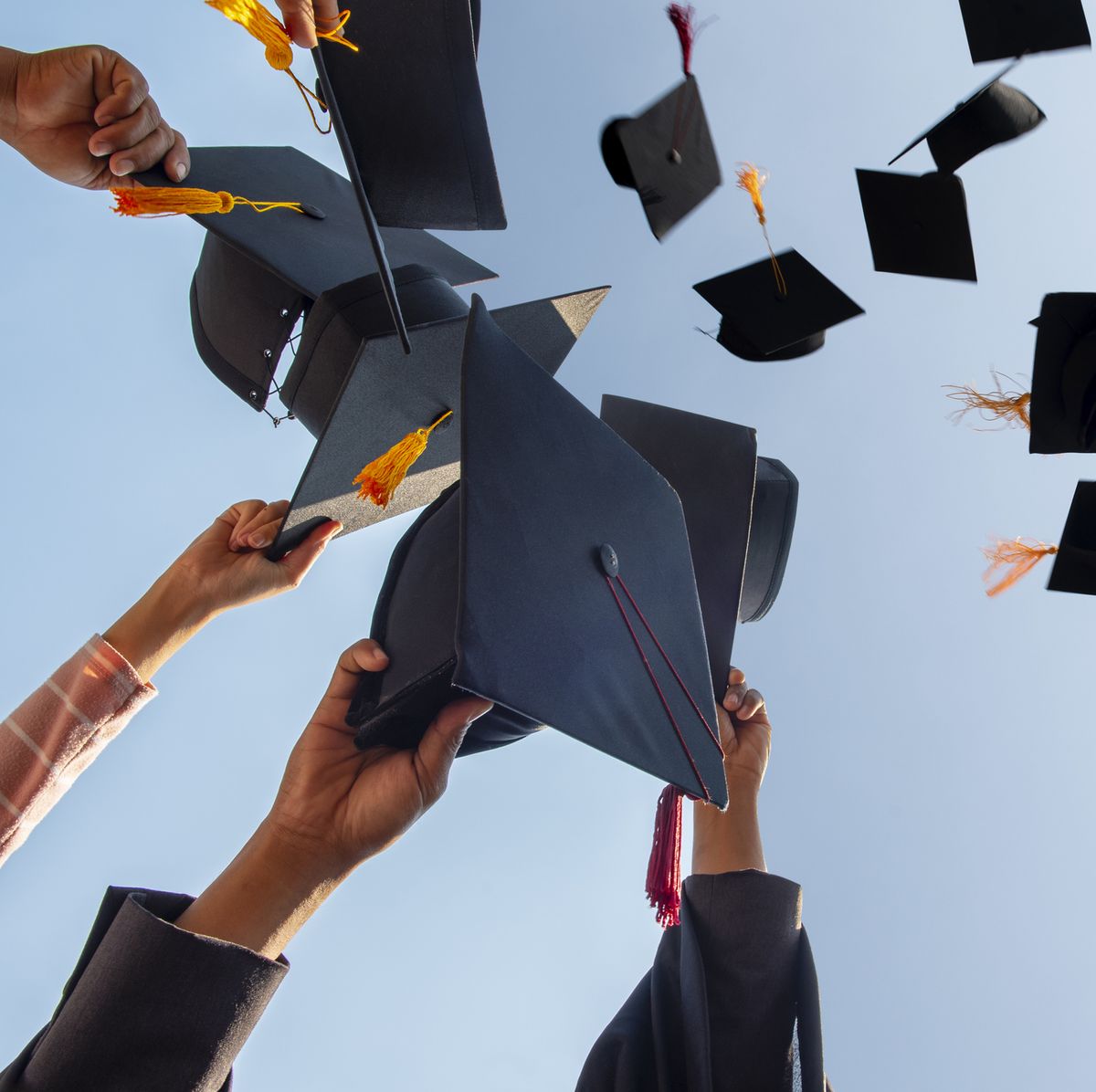 Apply now for Allan Gray Orbis Foundation scholarship programme