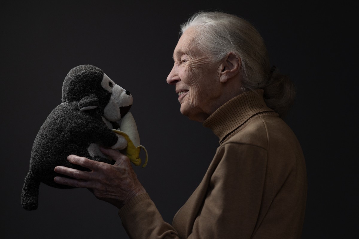 WATCH: World leaders and conservationists pay tribute to Jane Goodall following her death at 91
