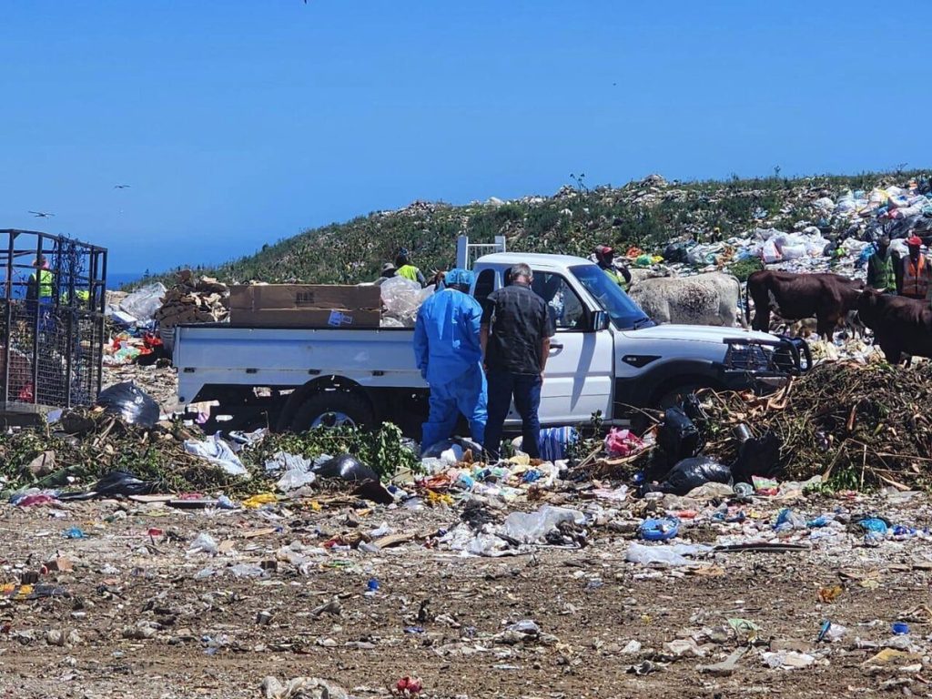 Police combing the crime scene at Arlington waste disposal site in Walmer on 3 February.