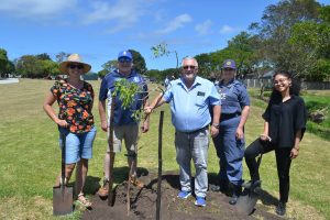 Restoring Lorraine’s green legacy one tree at a time