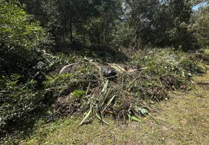 Illegal dumping fine trigger calls for tougher penalties