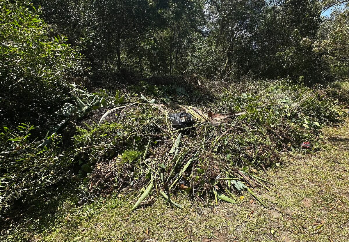 A resident was fined R2 000 for illegally dumping garden refuse in the Baakens Valley.