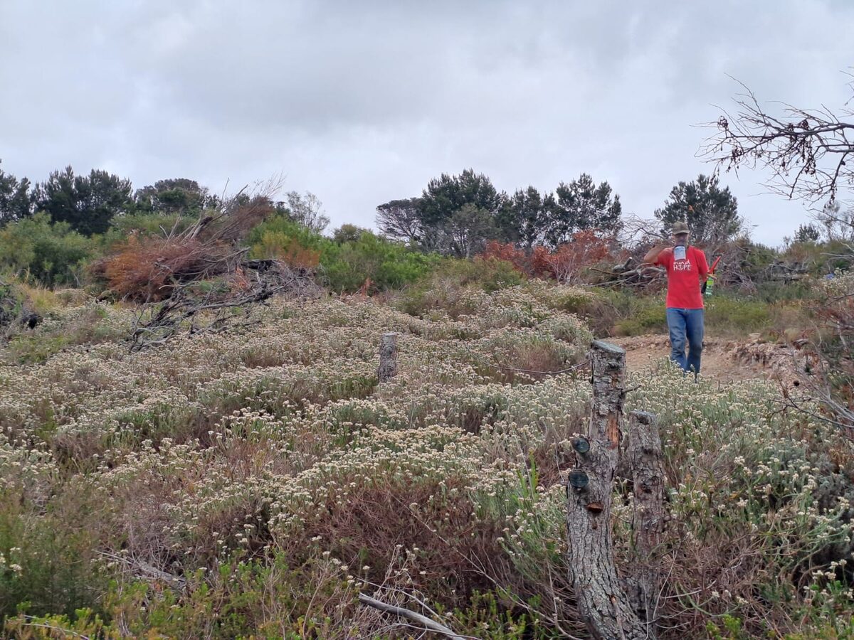 Residents unite to restore diverse biomes for the future