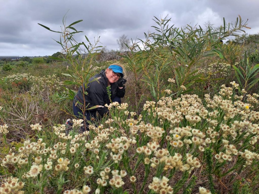 Deidre Erasmus, a volunteer, clearing invasive plants in our city.       
