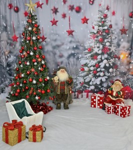 ADVERTORIAL: Pro Design Photographers offers festive photo sessions with special holiday pricing