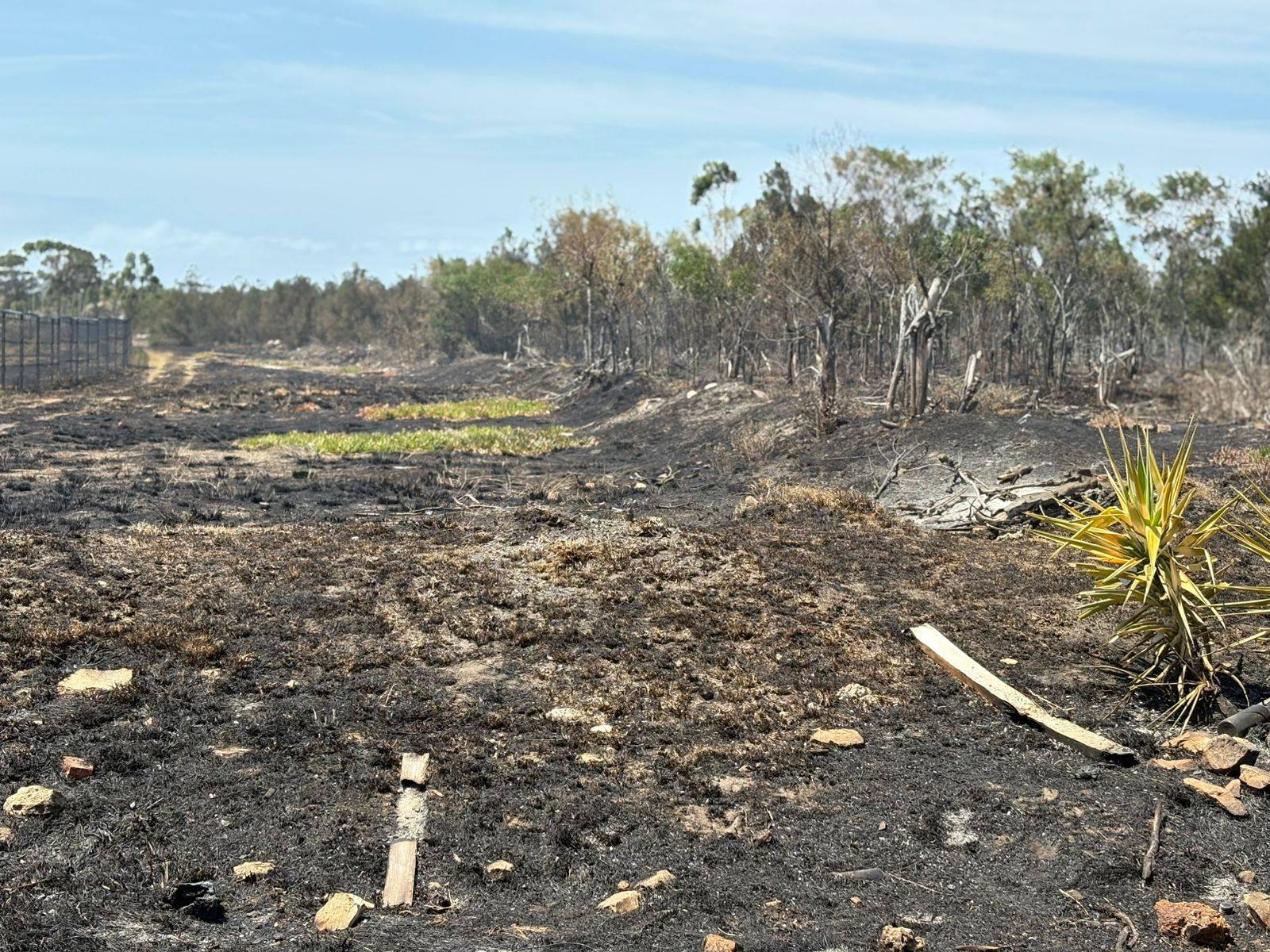 Fires brought under control in Nelson Mandela Bay