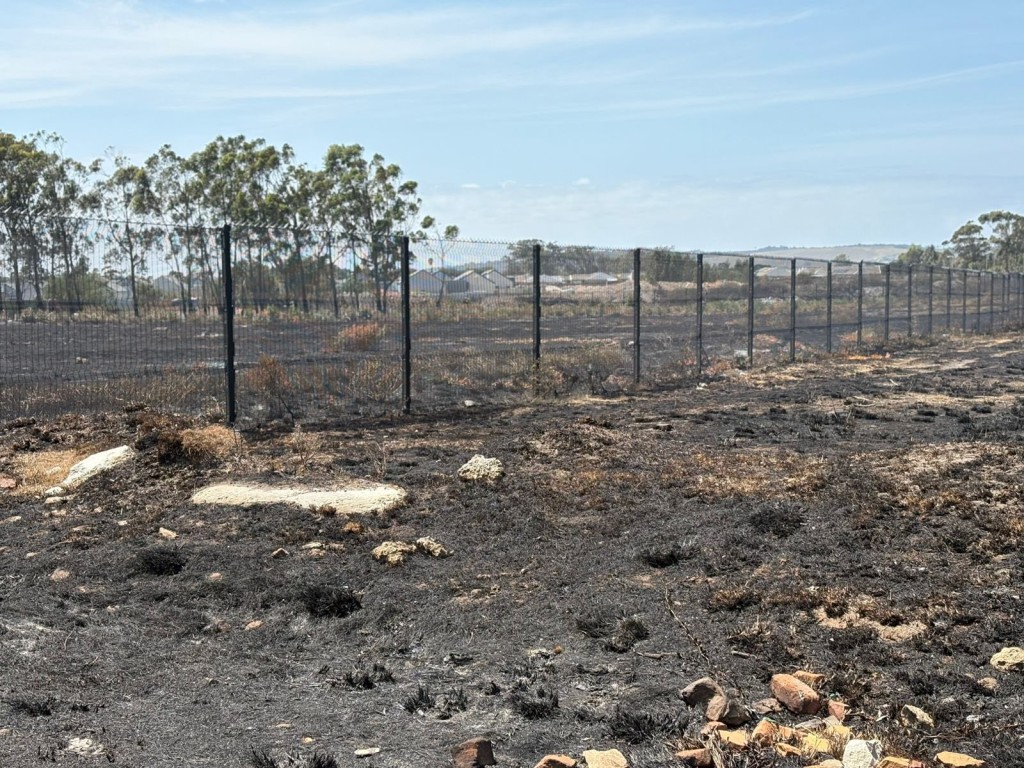 Fires ravaged parts of the metro this week.