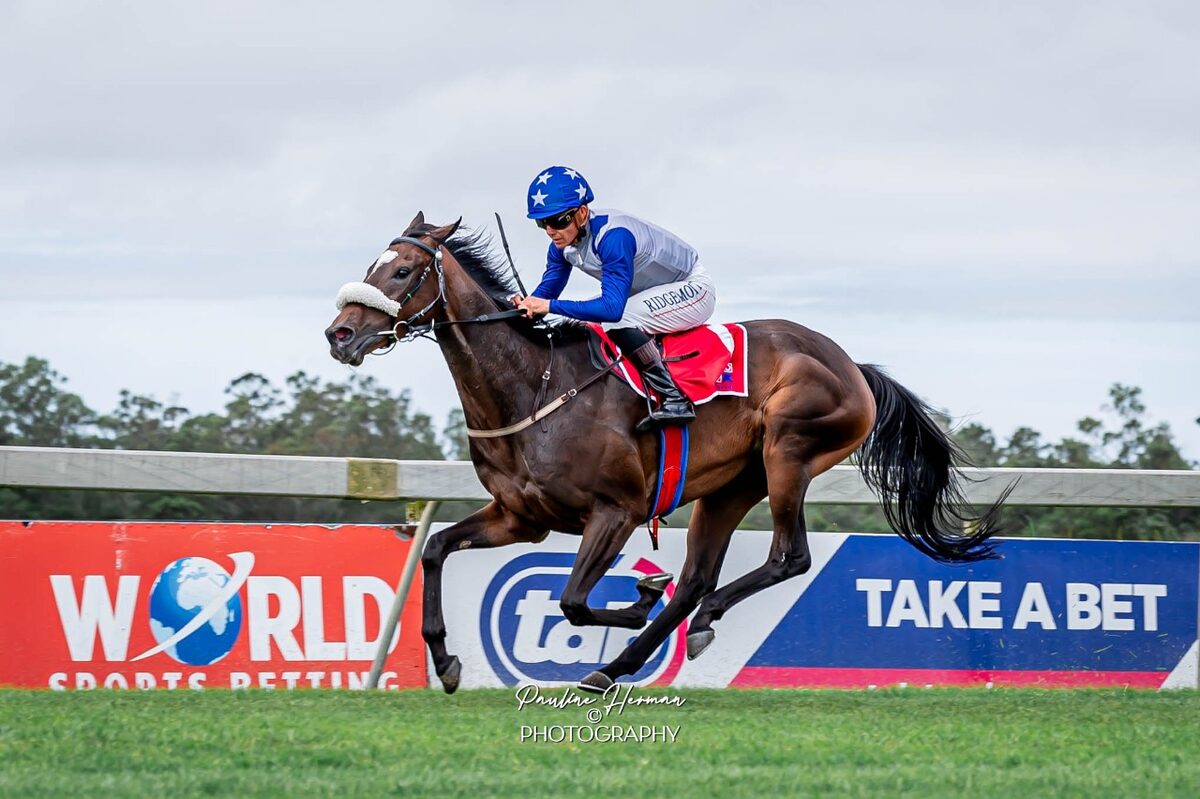 Splicethemainbrace and Calvin Habib won the Lady's Bracelet.