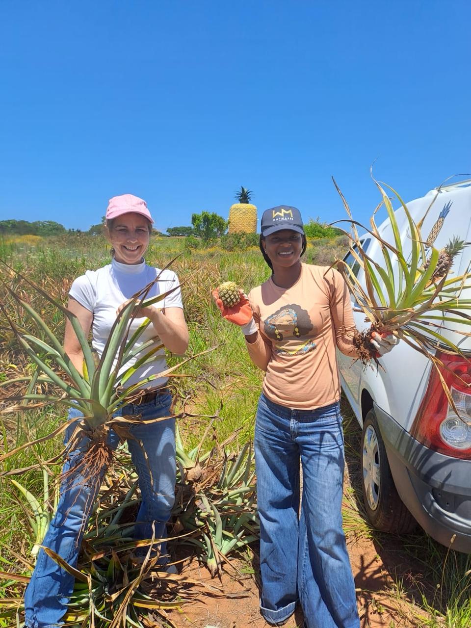 Leafline workers holding pineapples.
