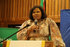 Council approves R679.5m for water and electricity upgrades