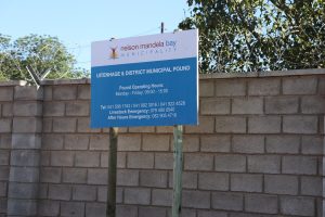 Court settlement reached in dispute over NMBM animal pound