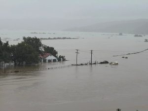 Floodwaters tear through Kouga region, communities rally as hundreds are left displaced