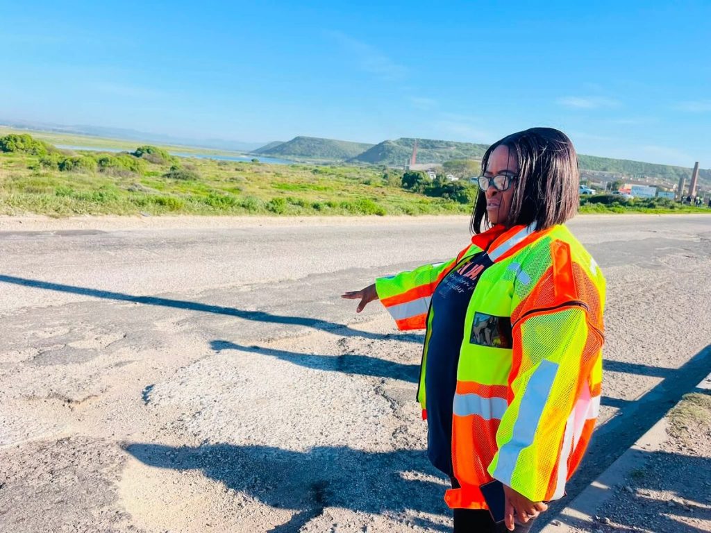 Member of the Mayoral Committee for Roads and Transport, Yolisa Pali.