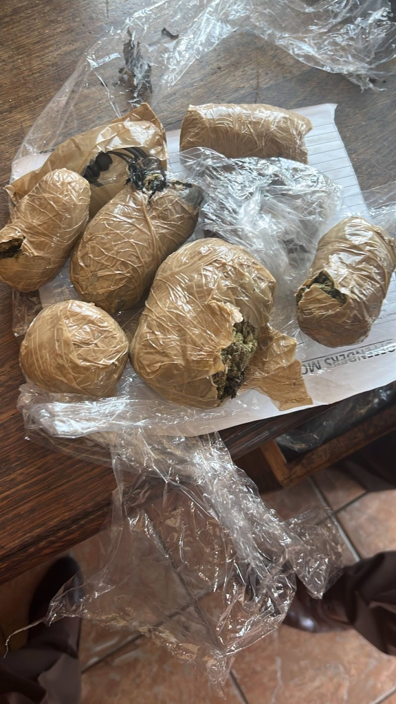 The contraband confiscated by officials in smuggling incident.