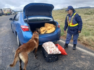R15m seized in Eastern Cape cross-border crime crackdown