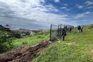 Baakens Zipline project moves ahead with site preparations