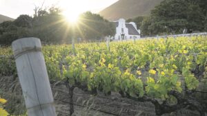 ‘Harnessing power of community’