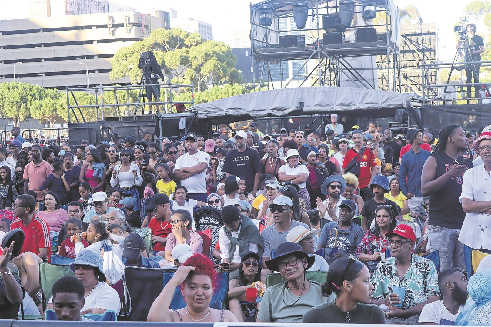 Festive Lights Switch on