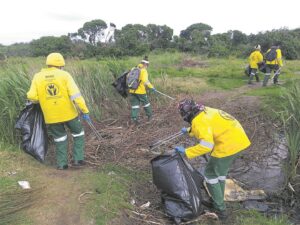 ‘I think it is all about education’: Clean-up day aims to preserve the future of wetlands in Masiphumelele