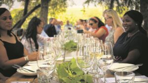 In a glass of its own: 363 years on, South African wine industry needs you to spread the word on auspicious birthday
