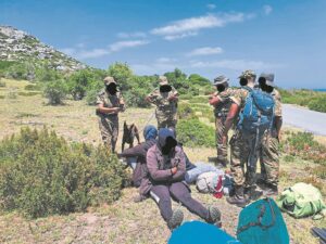 ‘We cannot do it on our own’: SanParks call for stronger partnerships