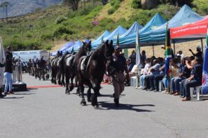 Thousands of officers to guard tourism attractions in Cape Town during the festive season