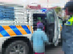 ‘Dogfighting is not only a problem of cruelty to animals, it is part of a criminal subculture’: Minors arrested in Retreat