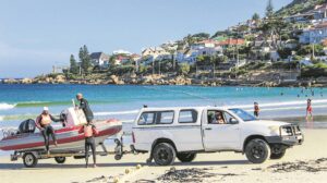 Shark Spotters mark 20-year milestone as leaders in sustainable shark safety