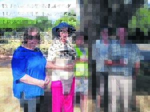 Green bin litter ‘a real eyesore’