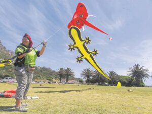 PICS | Colourful kites light sky at festival in Zandvlei
