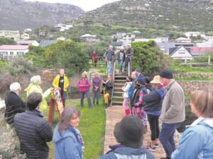 Community learns about endangered leopard toad